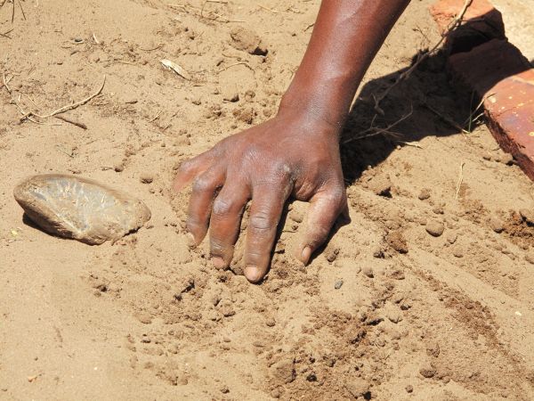 Masonry Sand Delivery
